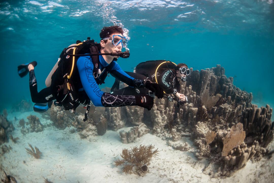 Fun dives explos bleu passion guadeloupe reserve cousteau